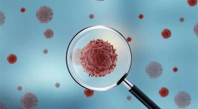 新冠病毒世界最新确诊,新冠病毒世界最新确诊，科技巨擘重塑疫情防控格局