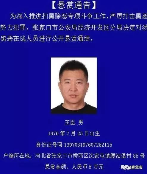 张家口警方最新通告背后的暖心故事揭秘