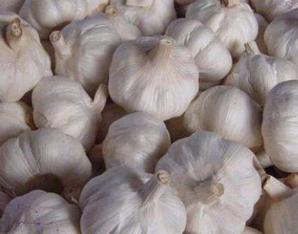 大蒜价格最新价格行情,大蒜价格最新价格行情，小巷中的独特风味探秘