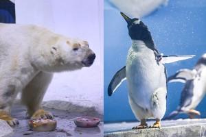 科技重塑防控新篇章,全国最新疫情情况分析(8月版)