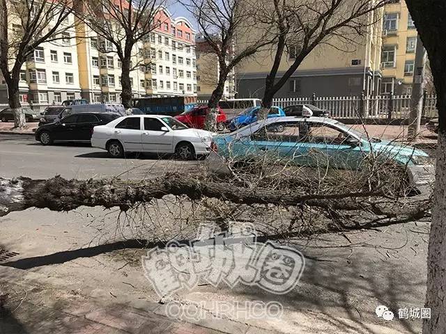 齐齐哈尔大风实时更新,最新消息汇总