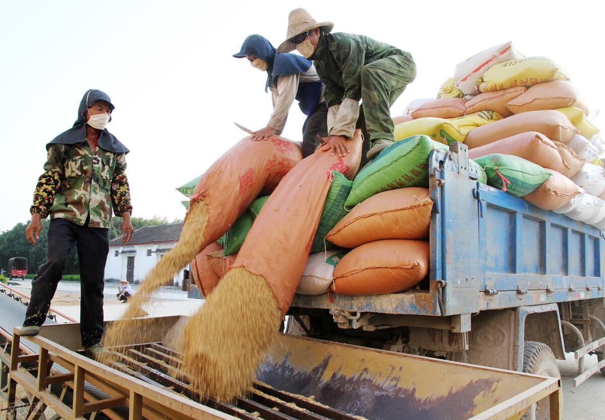 周期涨价最新消息,周期涨价最新消息详解，如何掌握周期涨价信息获取与分析技能