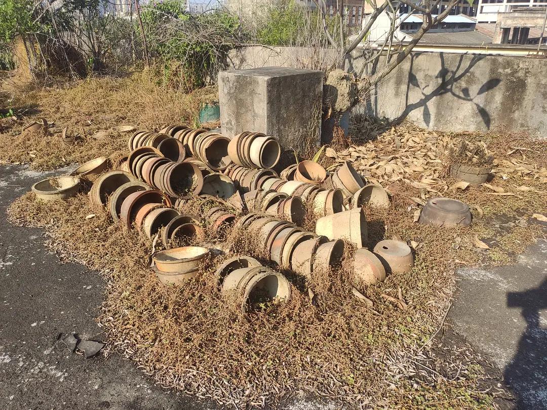 印染厂最新情况,印染厂最新情况之探讨，绿色发展的视角