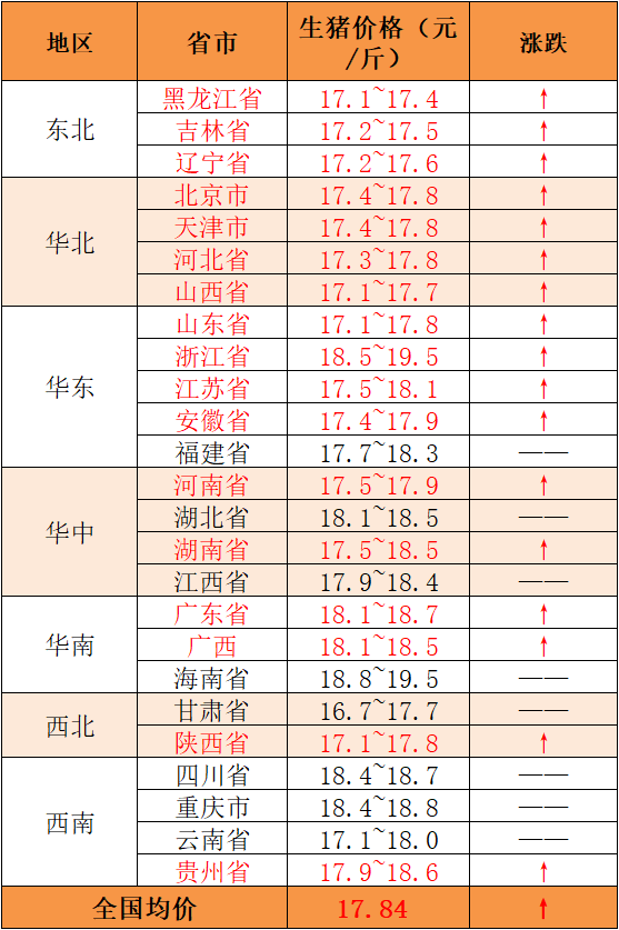 广东猪肉最新价格今日价
