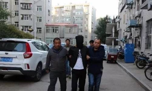 佳木斯海神最新动态与深度解析