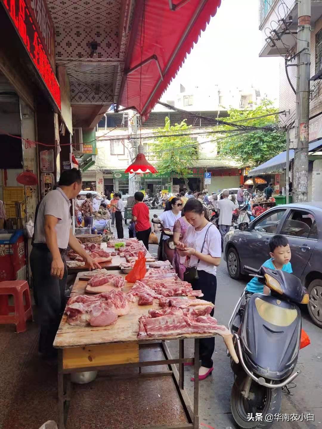 今日肉鸡行情，逆风翱翔，把握机遇的励志故事与价格解析