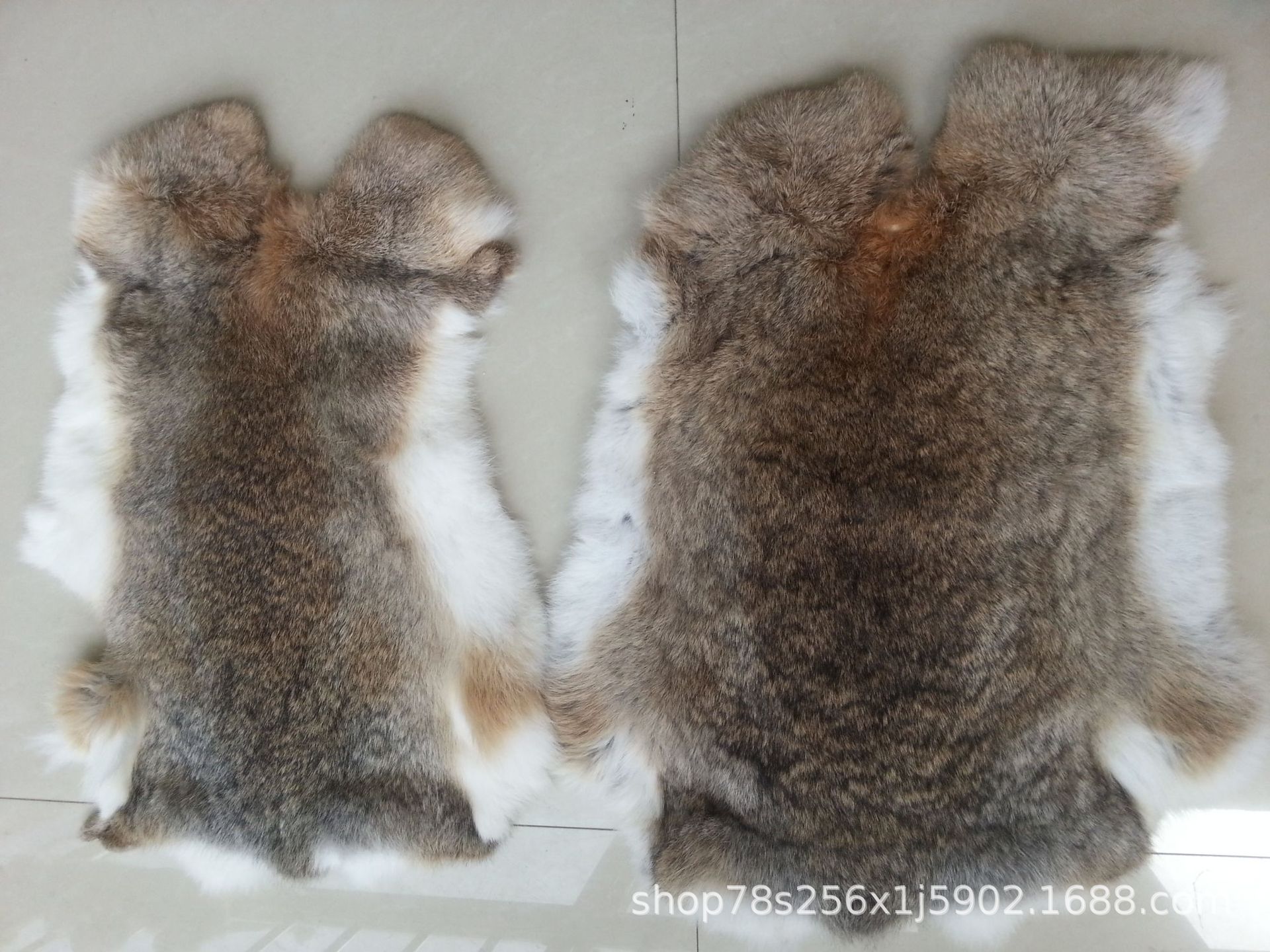 兔皮的最新价格