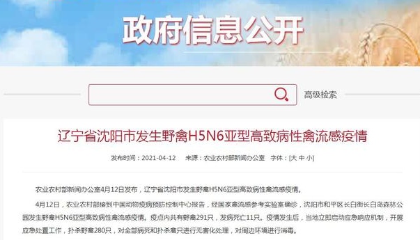 辽宁H7N9最新消息解读，当前形势全面剖析与核实报告