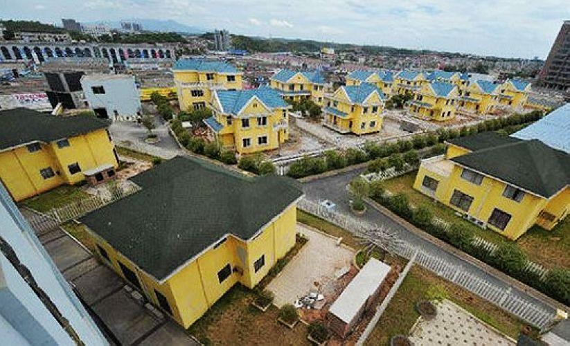 楼顶龟池美图鉴赏，一段友情与陪伴的温馨故事