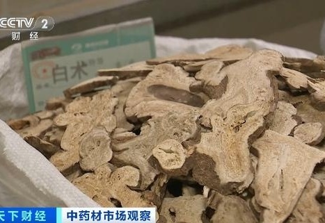 白术市场行情，巷弄深处的瑰宝探秘