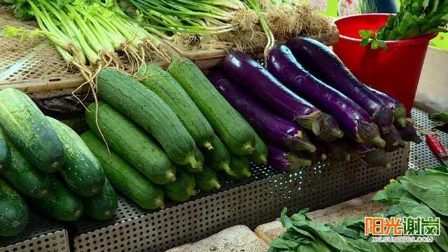 五月蔬菜盛宴，新鲜上市蔬菜解析与盛宴开启🍃🥦🍆