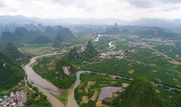 荔浦沙糖桔最新动态