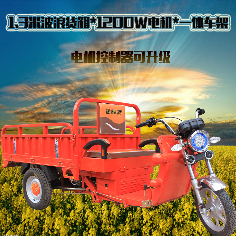 油电两用三轮车价格