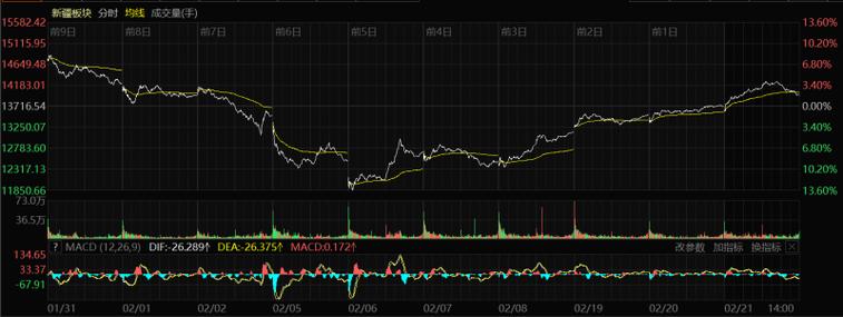 揭秘宝藏股票行情与特色小店的独特魅力——探寻002656股票与小巷深处的机遇