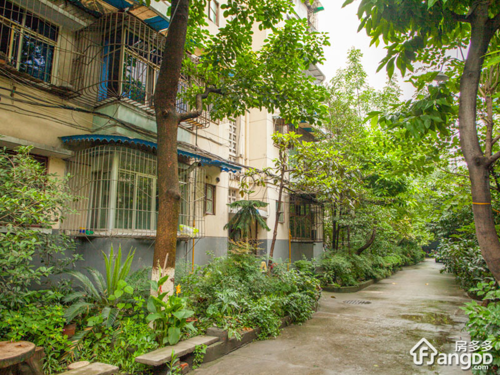 成都抚琴小区新规划揭秘，温馨家园的崛起与日常故事