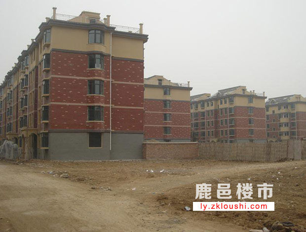 鹿邑最新房产价格，科技引领居住体验革新，未来生活新潮风向标