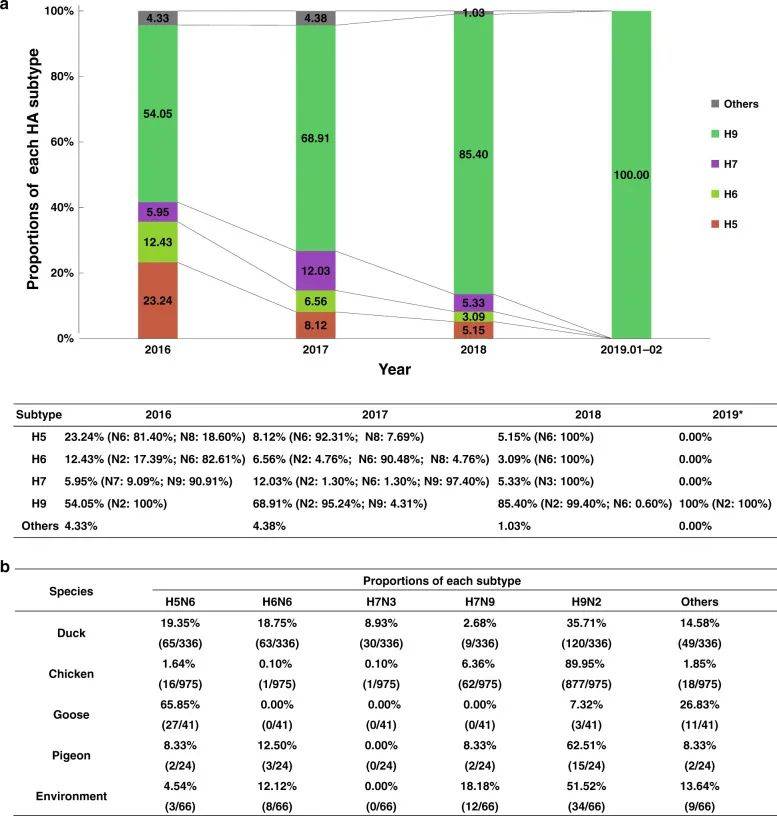 最新流感病毒动态