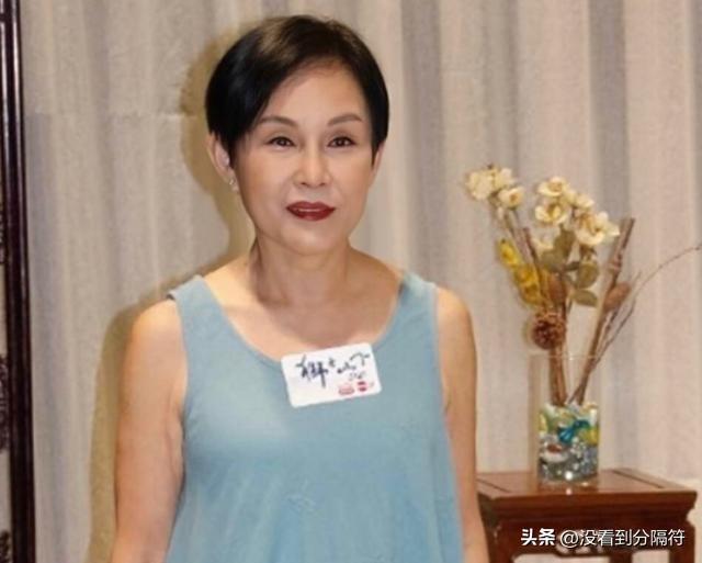 最新大明星txt发布，聚焦娱乐圈热点动态