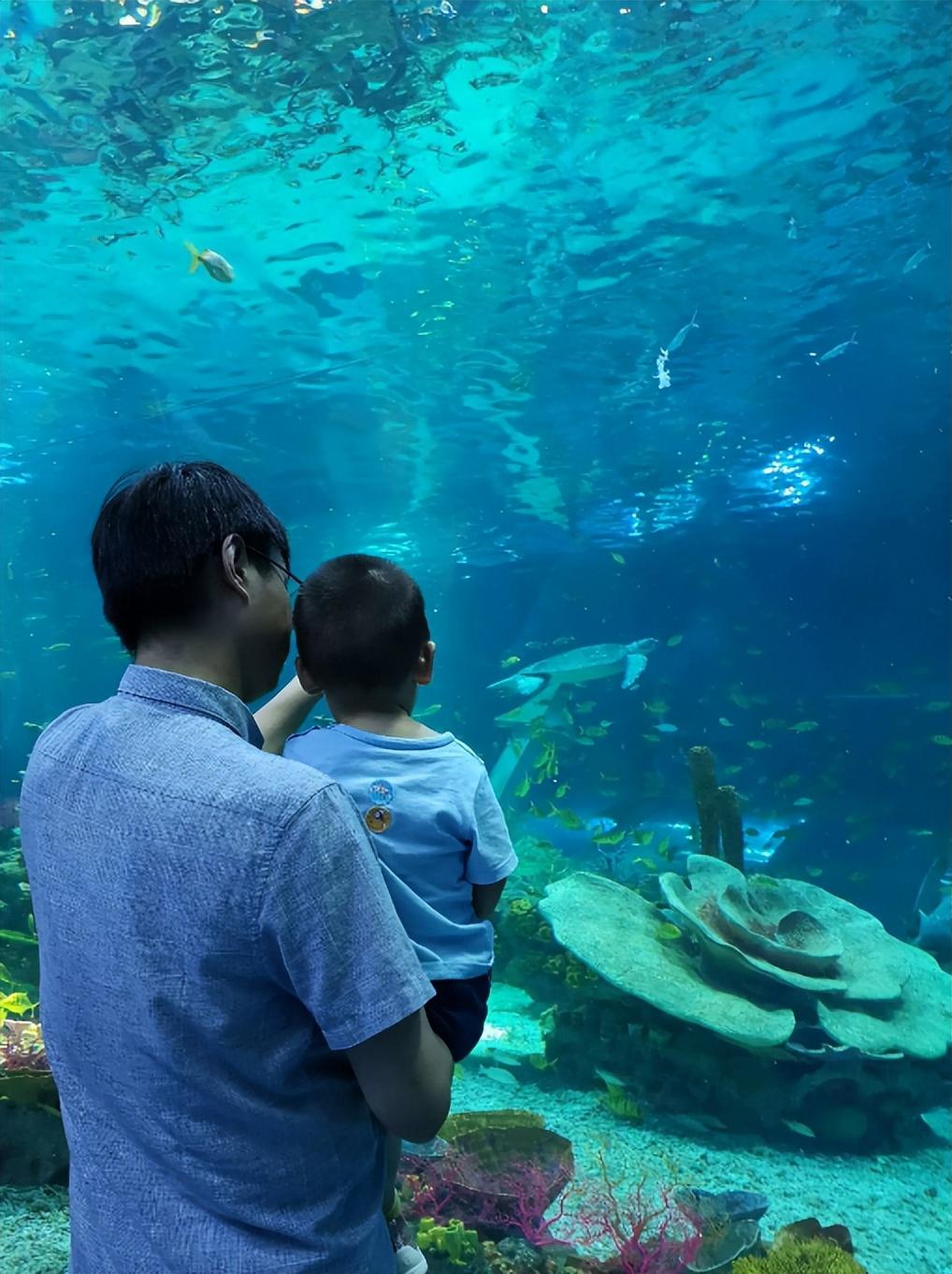 ＂新澳今天最新免费资料＂的：快速解决方式指南_快捷版3.52