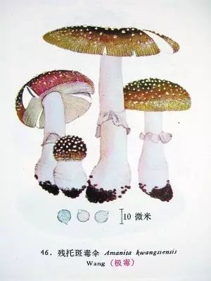 ＂澳门资料大全正版资料341期＂的：全身心数据计划_复刻版4.65