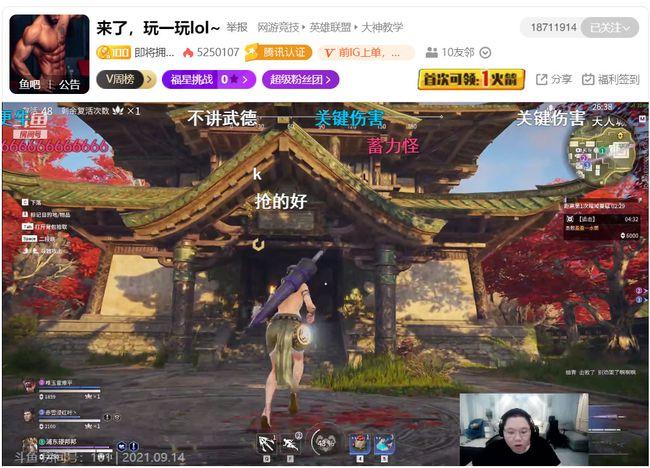 最新密码,最新密码，观点阐述与深入分析