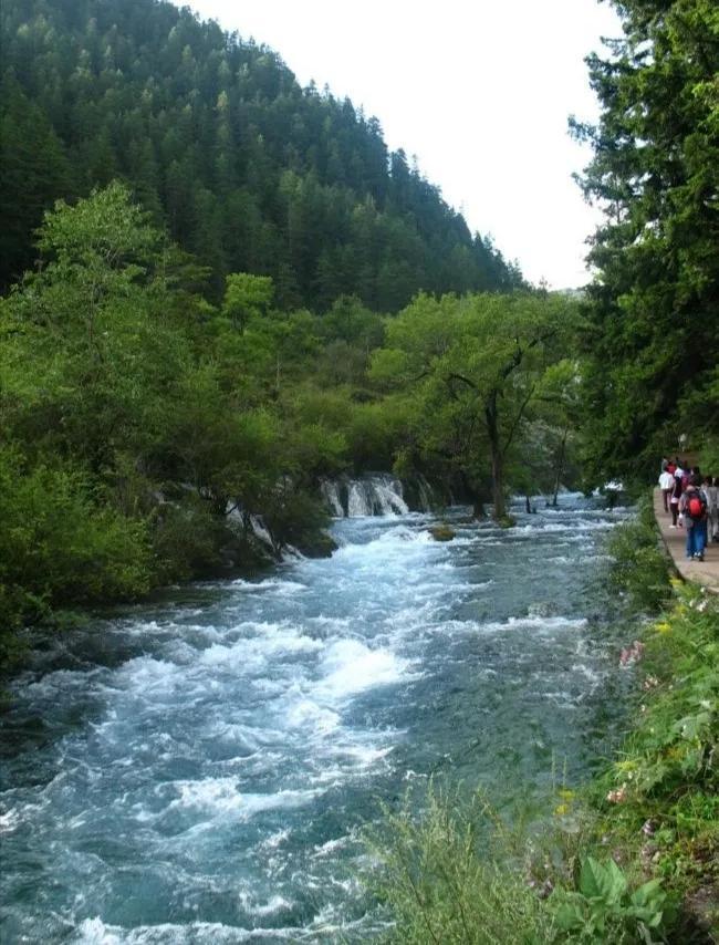 九寨沟地震最新动态，探索小巷中的独特风味小店