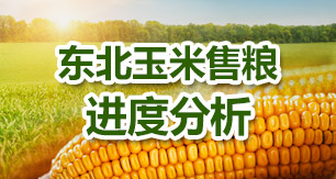 粮食市场最新资讯概览，动态更新与深度解读