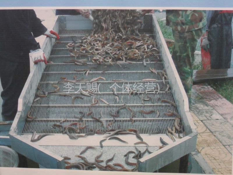 市政设施管理 第106页