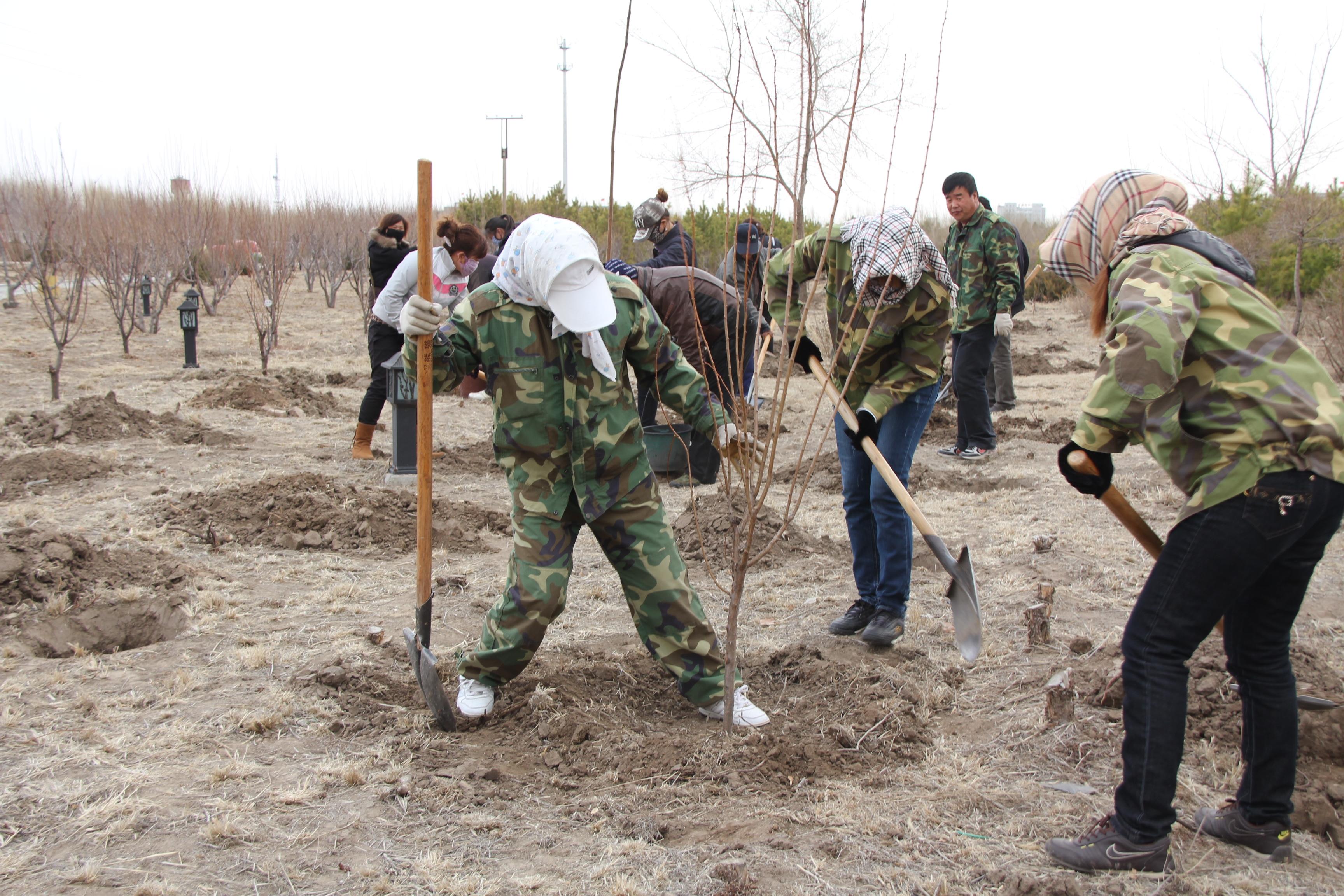 大同人才市场最新招聘