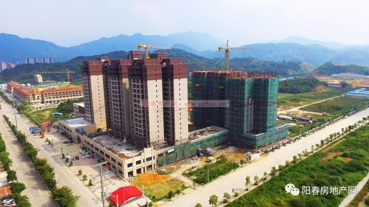 阳春市在售楼盘信息一览，楼盘概览与介绍