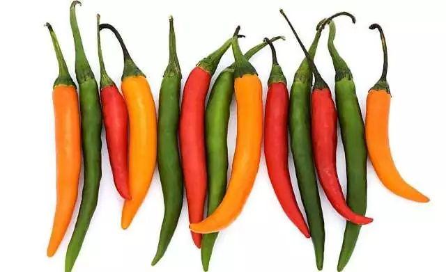 菜辣椒行情深度解析与趋势预测🌶️