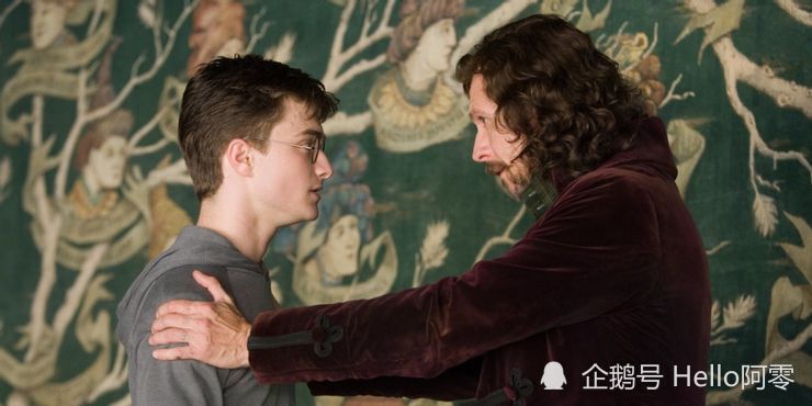 天狼星演员表揭秘，小巷深处的星光传奇