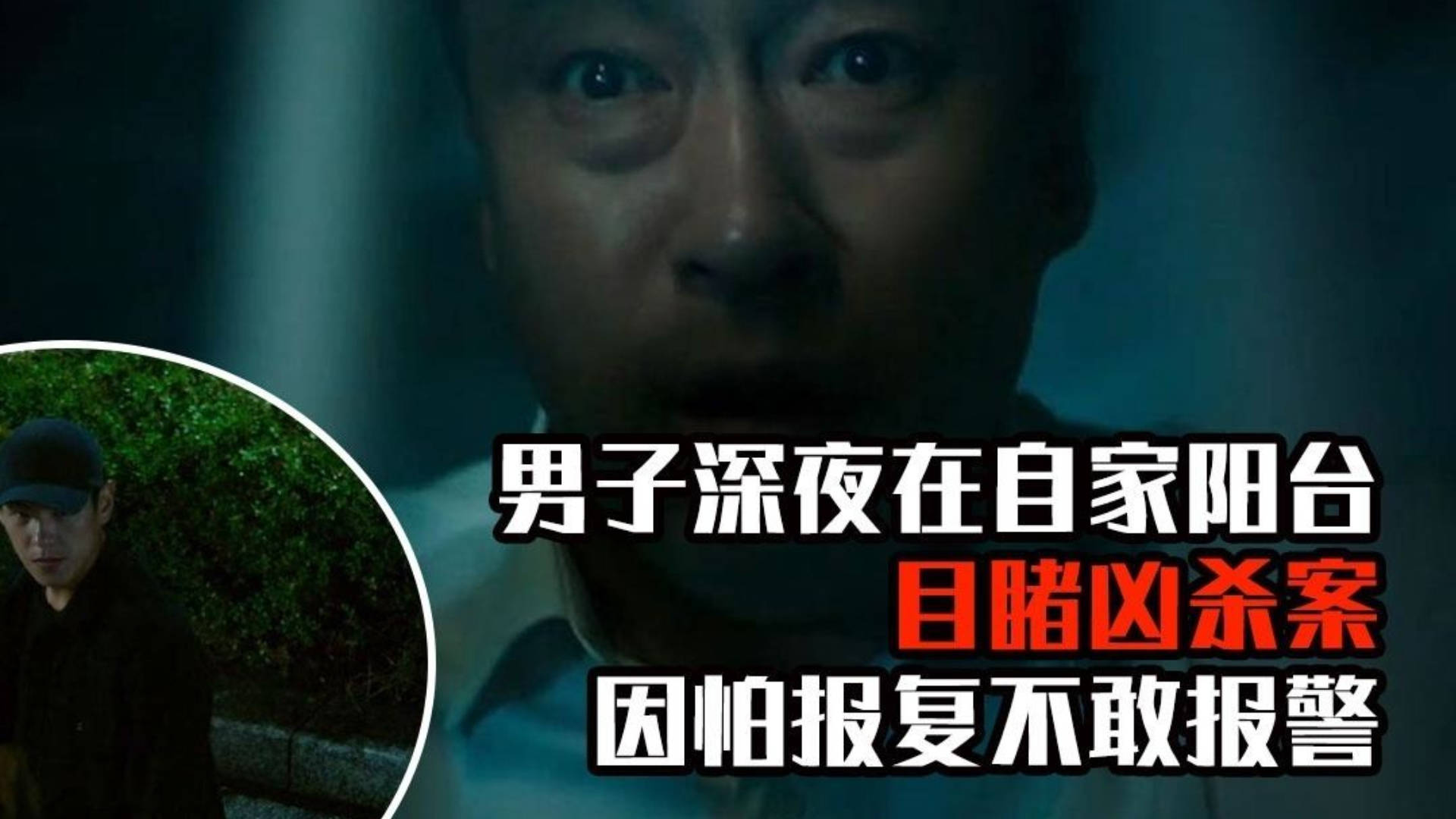 目击者电影深度解析，揭示影片魅力与悬疑元素揭秘其独特魅力