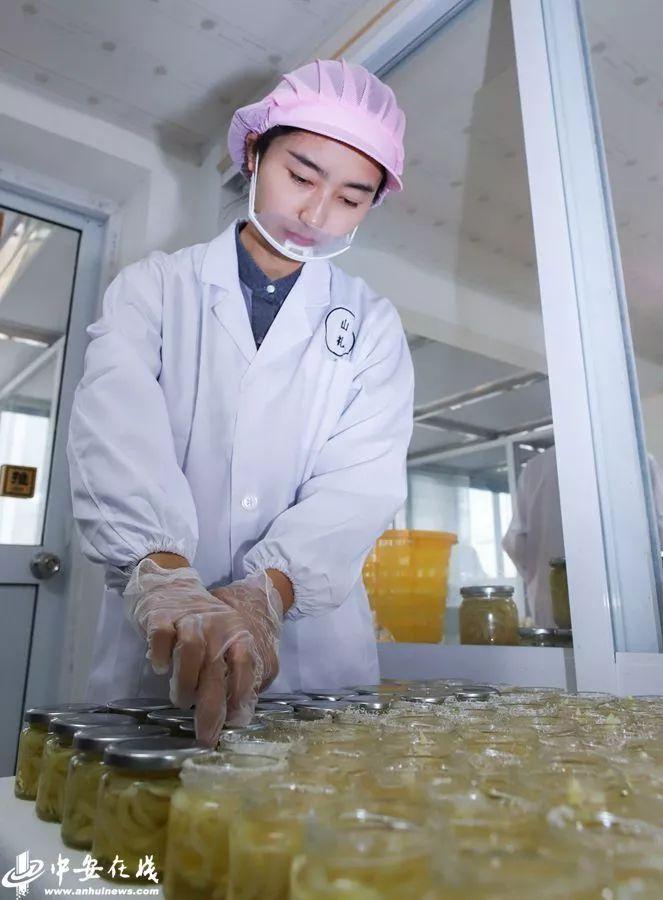 铜陵上市公司发展聚焦与洞察