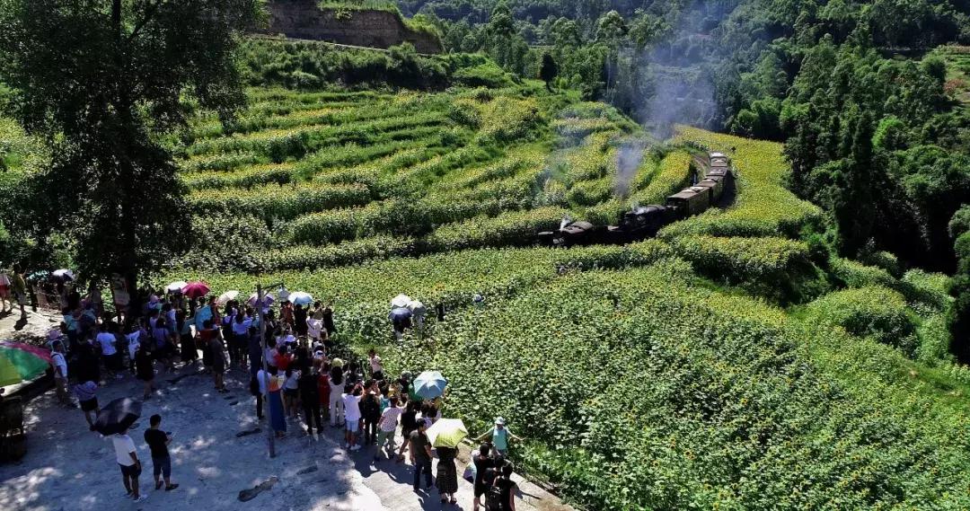 掀起热潮的周边福利时代,最新周边福利大放送