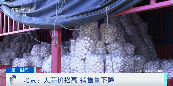 今日大蒜资讯,市场走势分析及其影响深度探讨