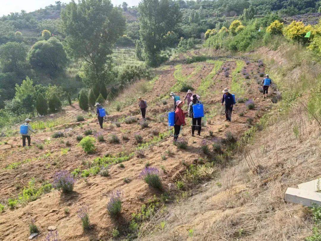 临朐一品世家最新动态,临朐一品世家最新动态,全面指南与步骤解析