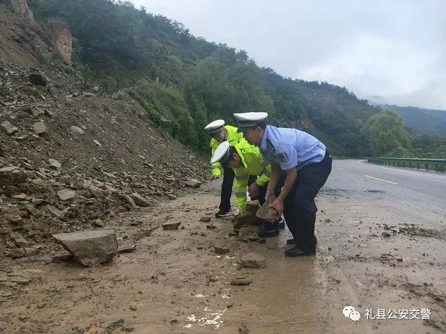 陇南礼县最新灾情报告，最新更新与概述