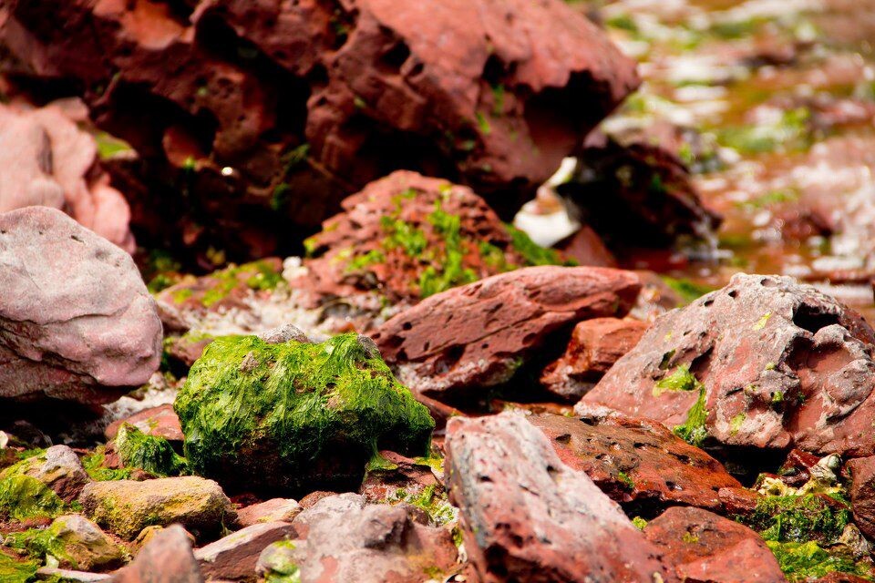 荣乌高速公路新线 第46页