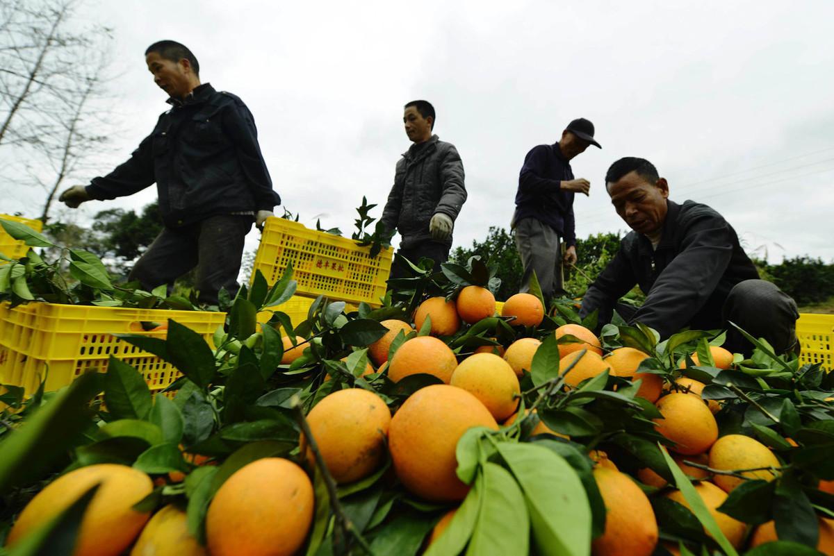 苹果股价行情,苹果股价行情分析