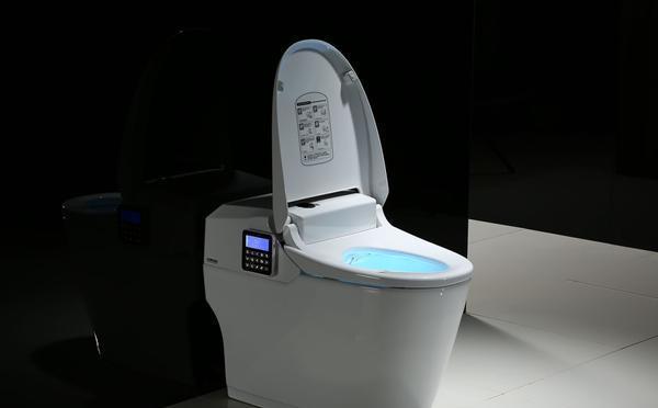 智能马桶价格揭秘，成就梦想，变化、学习与自信的价格探索