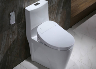 智能马桶价格揭秘,成就梦想,变化、学习与自信的价格探索