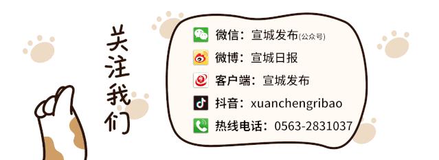 京台高速至京港澳高速段公路 第36页