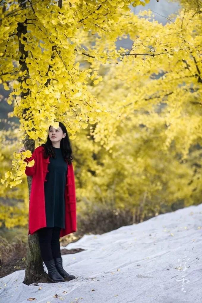 探索幸福新篇章，追寻内心满足与快乐的旅程