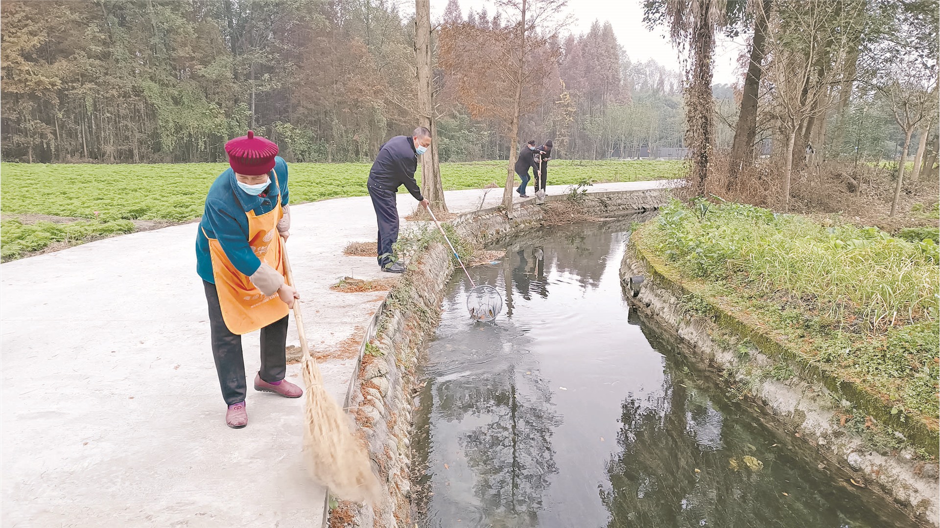 绿色奇遇，最新环境治理动态下的探索与挑战