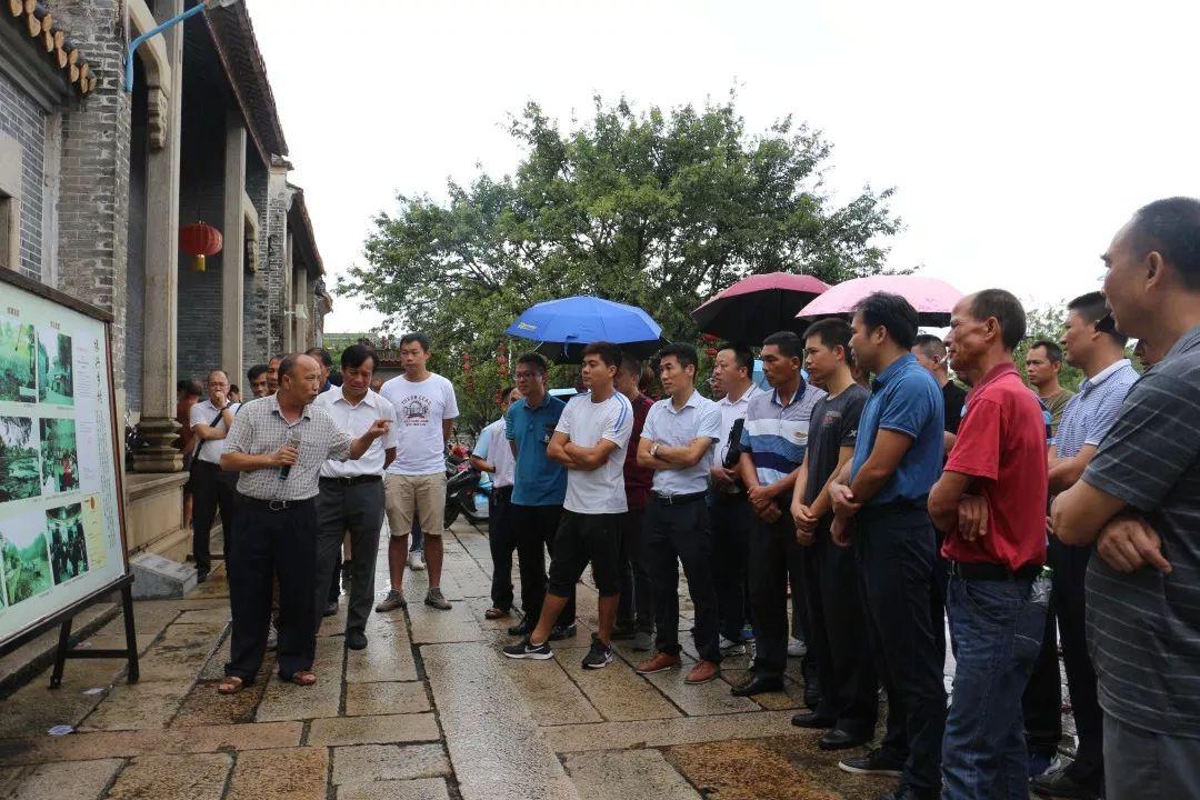 最新环境治理动态，构建可持续未来之路的征程启动