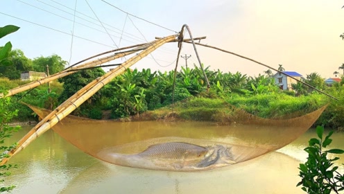 新型捕鱼工具，革新与挑战的并存之路