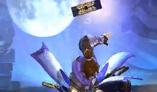 最新尊宝动态全面解读与观点阐述，深度剖析与阐述