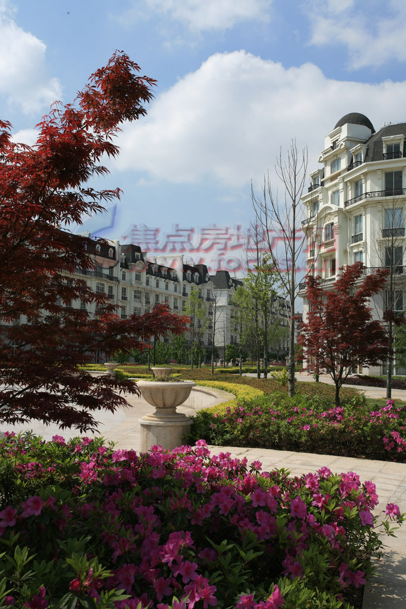 广厦天都城最新动态，多元视角审视发展进程