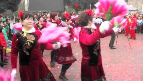 广场舞新风尚，抬花轿风采展示步骤指南及广场舞教学视频分享